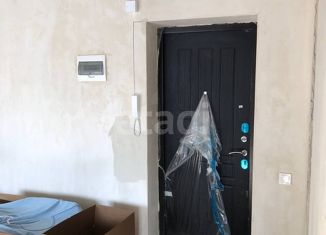 1-комнатная квартира на продажу, 30.1 м2, село Ямное, Ягодная улица, 22