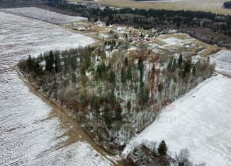 Земельный участок на продажу, 50 сот., Бегуницкое сельское поселение