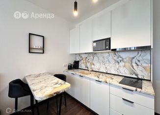 Квартира в аренду студия, 24 м2, Санкт-Петербург, Фарфоровская улица, 7к1, Невский район