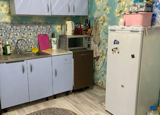 Продаю 2-комнатную квартиру, 42 м2, деревня Сопырево, Новая улица, 18