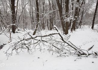 Продажа земельного участка, 15 сот., деревня Шульгино