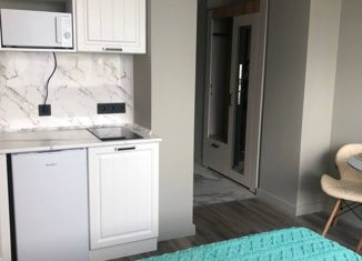 Продажа квартиры студии, 19.6 м2, Москва, Ленинский проспект, 158, метро Тропарёво