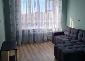 Сдача в аренду 2-комнатной квартиры, 37 м2, Новосибирск, 1-я Шоссейная улица, 60
