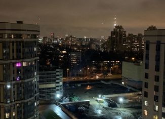 Продается квартира студия, 28.5 м2, Санкт-Петербург, Ипподромный переулок, Ипподромный переулок