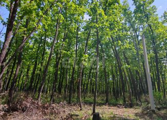 Земельный участок на продажу, 8.5 сот., Арсеньев, улица Арсеньева