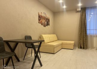 Сдается в аренду квартира студия, 33.7 м2, Санкт-Петербург, Московский проспект, 183-185Ак2, ЖК Граф Орлов