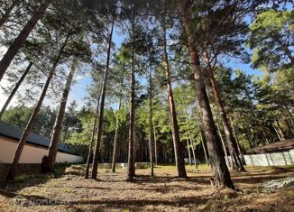 Продается участок, 25 сот., деревня Чёрная Речка, Северная улица