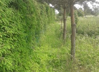 Продажа земельного участка, 12 сот., деревня Костково, Южная улица