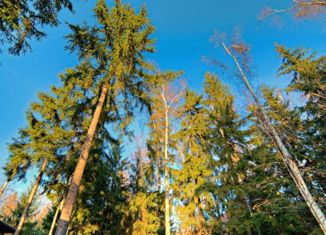 Продается участок, 36 сот., деревня Жуковка