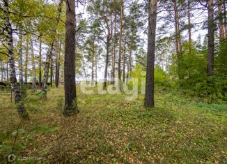 Участок на продажу, 18.1 сот., посёлок Сосновка