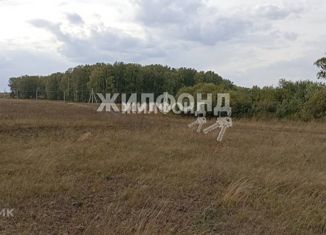 Продается земельный участок, 11 сот., деревня Алексеевка