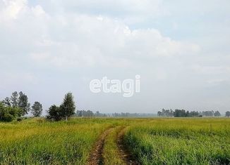 Продажа участка, 15 сот., село Сухобузимское