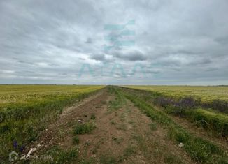 Земельный участок на продажу, 1000 сот., Молочненское сельское поселение