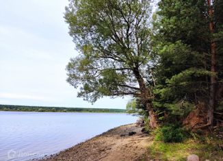 Продам дом, 47 м2, деревня Золотуха, деревня Золотуха, 20