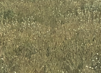 Участок на продажу, 60 сот., село Живописное, Загорская улица, 13А