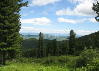 Продается земельный участок, 500 сот., село Чемал, Советская улица