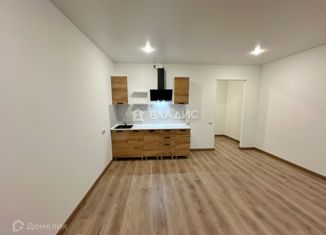 Продажа квартиры студии, 26 м2, Санкт-Петербург, Троицкий проспект, 14, Троицкий проспект