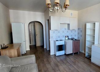 Сдается в аренду квартира студия, 28 м2, Санкт-Петербург, Русановская улица, 19к5