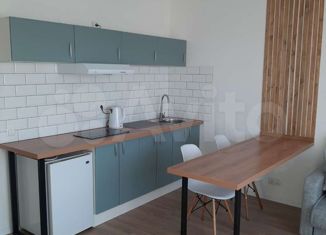 Сдается в аренду квартира студия, 25.9 м2, Санкт-Петербург, Большой Сампсониевский проспект, 69к1, метро Лесная