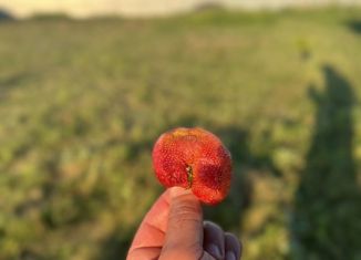 Продаю участок, 23 сот., хутор Ленина, улица Платова, 2