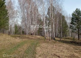 Продаю участок, 200 сот., село Плотниково