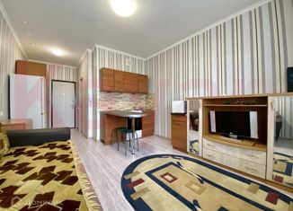 Продается квартира студия, 22 м2, Краснодар, микрорайон Сосновый Бор, улица имени Виктора Нарыкова, 6к1