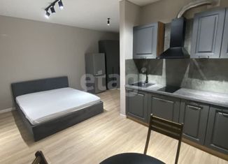 Сдается в аренду квартира студия, 30 м2, Ростов-на-Дону, улица Жмайлова, 19А