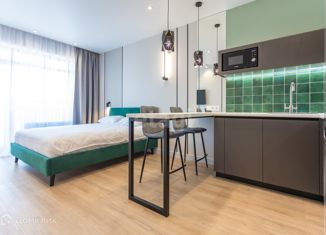 Сдаю в аренду квартиру студию, 25 м2, Новосибирск, улица Державина, 50, метро Маршала Покрышкина