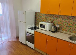 Сдается в аренду 1-ком. квартира, 40 м2, Новосибирск, Выборная улица, 137