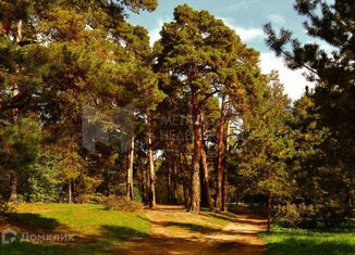 Продается участок, 10 сот., деревня Криводанова