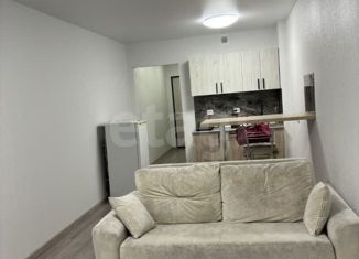 Аренда квартиры студии, 28 м2, посёлок Парголово, улица Архитектора Белова, 6к5, ЖК Парнас