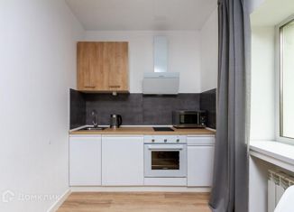 Сдаю в аренду квартиру студию, 34 м2, Новосибирск, улица Гоголя, 1, метро Красный проспект