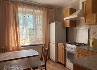 Сдам 1-ком. квартиру, 54 м2, Санкт-Петербург, улица Ярослава Гашека, 9к1, метро Купчино