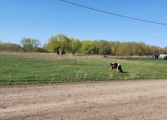 Продается участок, 20 сот., село Кзыл-Яр