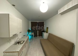 Продаю квартиру студию, 15 м2, Екатеринбург, Бисертская улица, 29