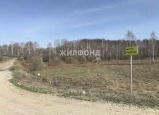 Продажа земельного участка, 12 сот., село Каменка, Каменская улица