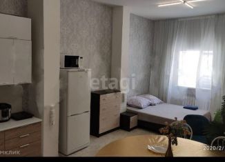 Сдаю в аренду квартиру студию, 30 м2, Новосибирск, Русская улица, 42В, Советский район