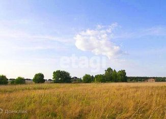 Продаю участок, 9.3 сот., село Шунга