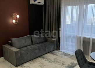 Продается квартира студия, 32 м2, Ростов-на-Дону, улица Мечникова, 41/53, Ленинский район