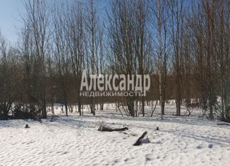Участок на продажу, 10 сот., деревня Борутино