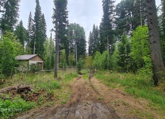 Дом на продажу, 25 м2, деревня Казанка, Сосновая улица, 3