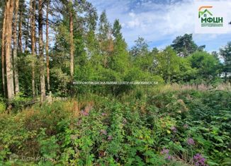 Продается земельный участок, 13.43 сот., станция Шуйская, Сосновая улица