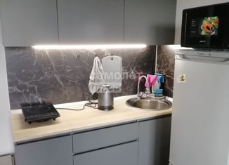 Сдаю квартиру студию, 20 м2, Санкт-Петербург, Гудиловская улица, 6к1, метро Рыбацкое