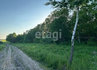 Продажа земельного участка, 10 сот., село Фалдино, село Фалдино, 28