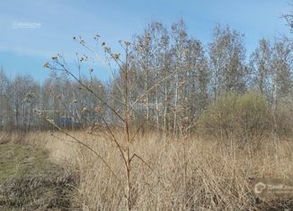 Продается участок, 30 сот., садовое товарищество Сотовик