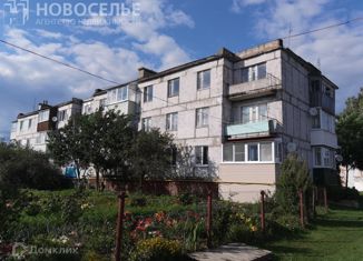 Продается трехкомнатная квартира, 59.2 м2, село Ижевское, Заводская улица, 34