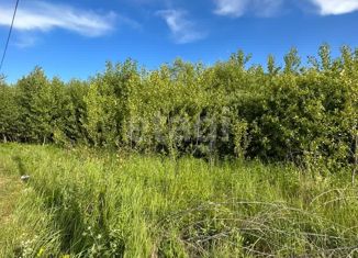 Продажа земельного участка, 10 сот., СПК Дубник