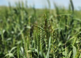 Продается земельный участок, 560 сот., городской округ Феодосия