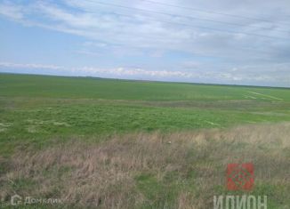 Продажа земельного участка, 2400 сот., село Береговое