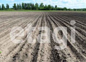 Продажа участка, 39.5 сот., село Елыкаево